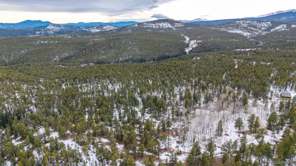 190 Hard Way Road, Ward, CO 80481