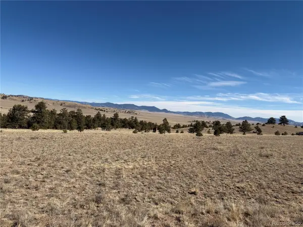 367 Arikara Trail, Hartsel, CO 80449