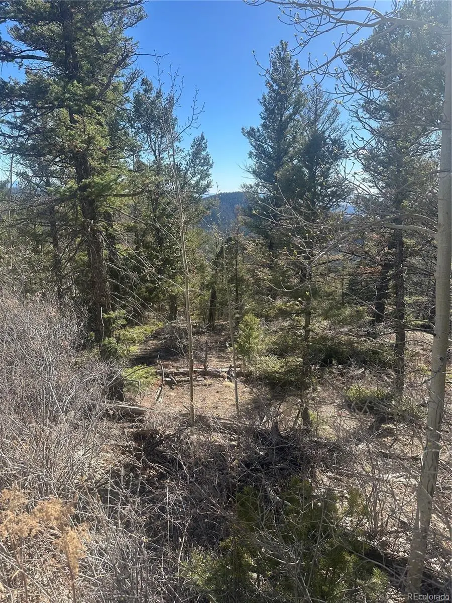 Lot 6742 Starkweather Road, San Luis, CO 81152 - #3