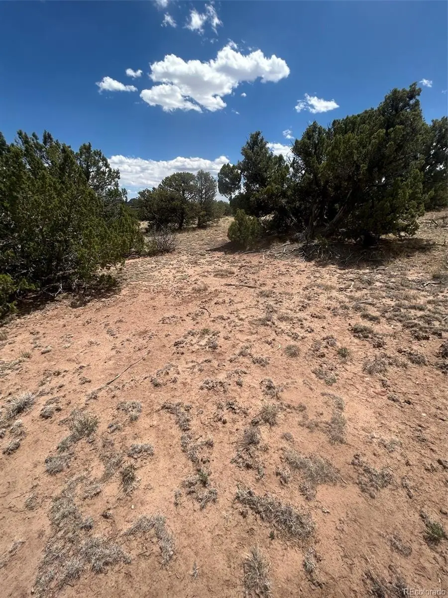 Cr 530, Walsenburg, CO 81089 - #2
