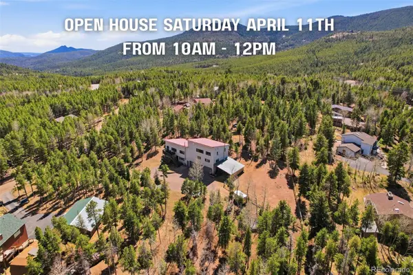 9225 Sandy Lane, Conifer, CO 80433