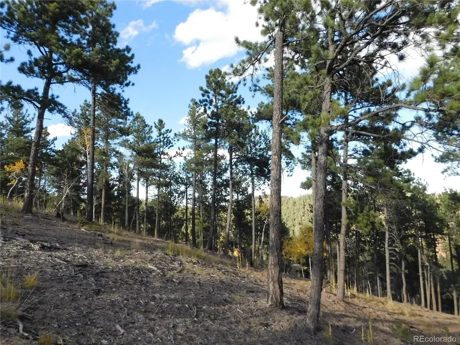 13910 Boulder Lane, Larkspur, CO 80118 - #3