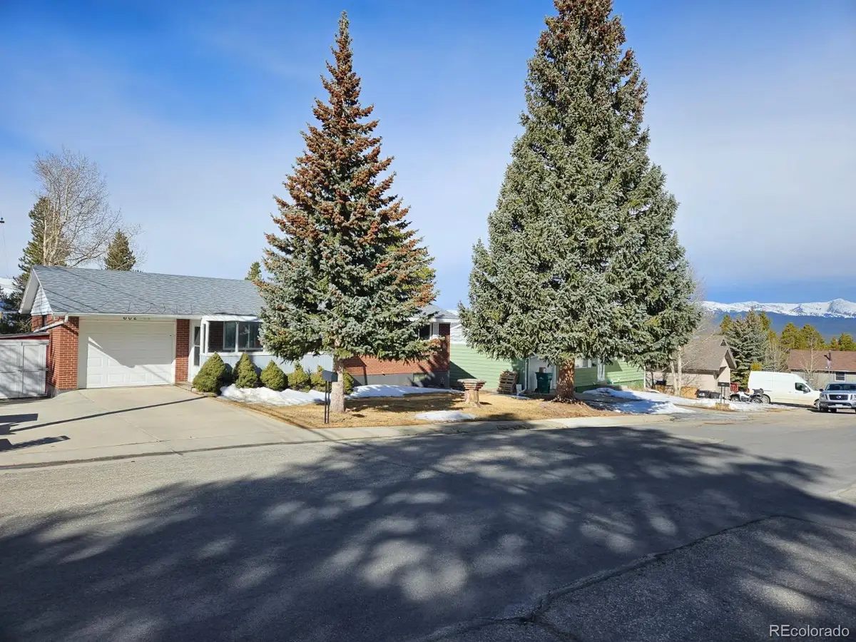 602 Dexter Street, Leadville, CO 80461 - #1
