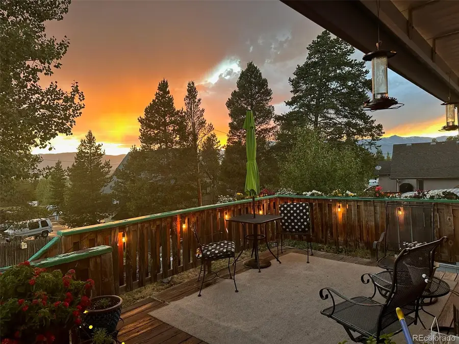 602 Dexter Street, Leadville, CO 80461 - #2