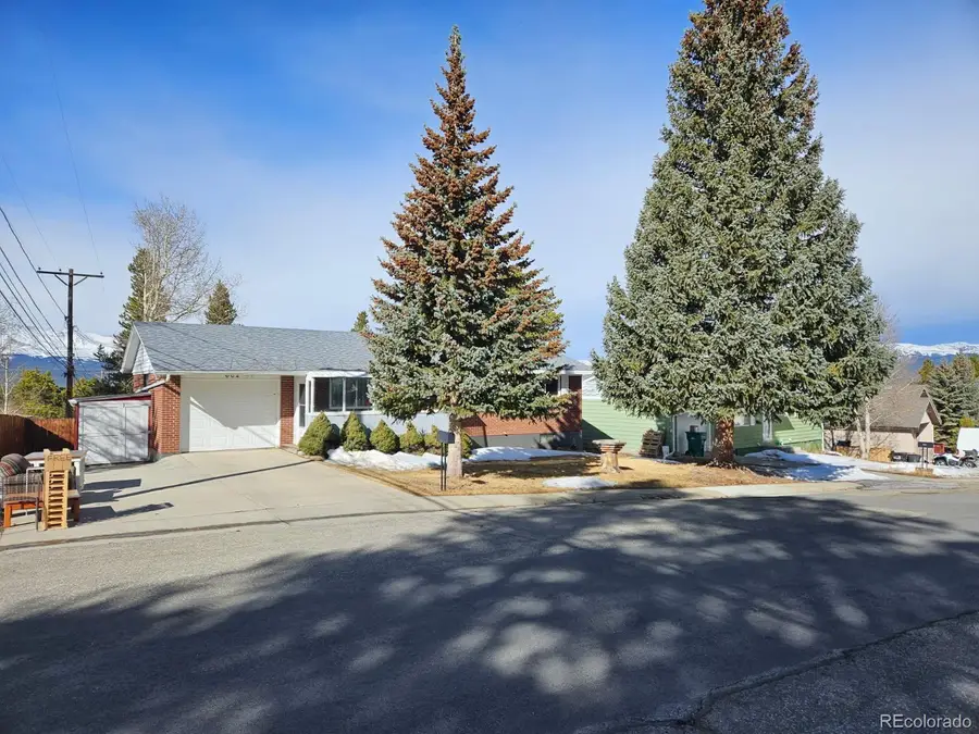 602 Dexter Street, Leadville, CO 80461 - #3