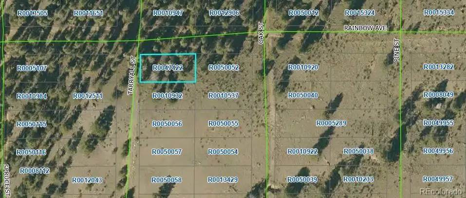 00 Tarryall Road, Hartsel, CO 80449 - #1