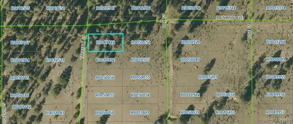 00 Tarryall Road, Hartsel, CO 80449
