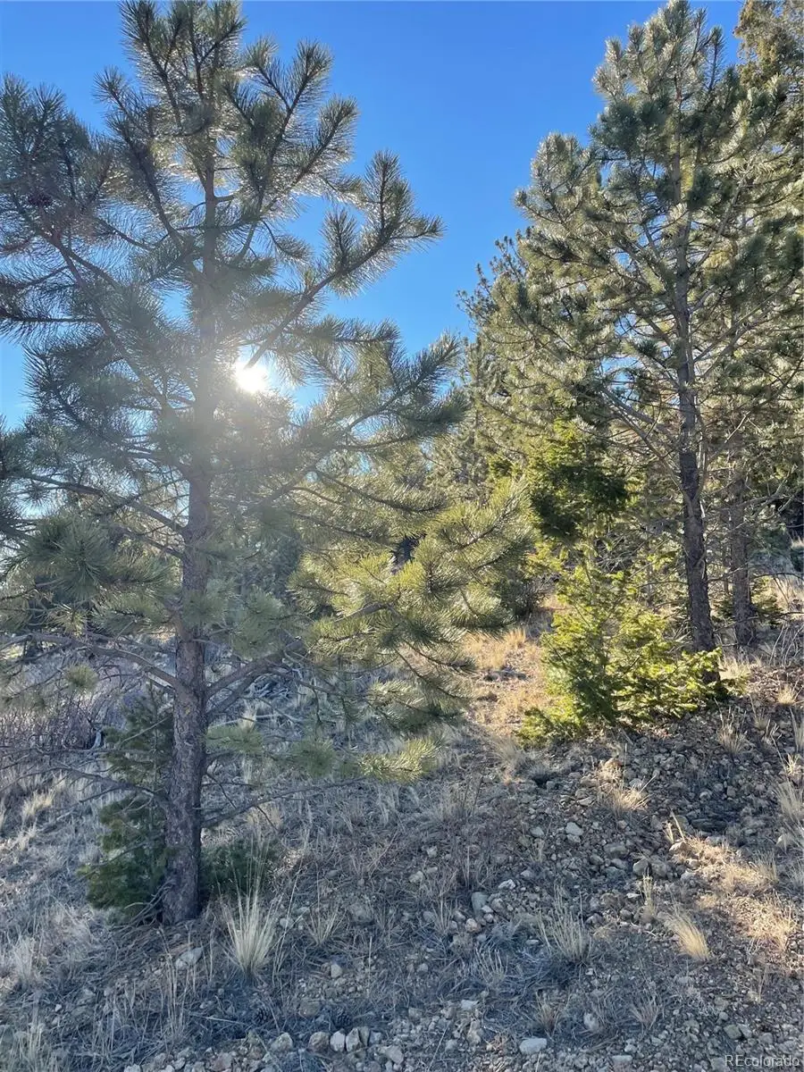 00 Tarryall Road, Hartsel, CO 80449 - #2