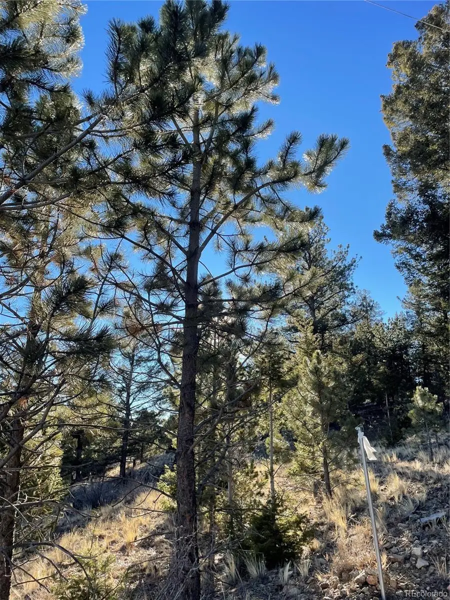 00 Tarryall Road, Hartsel, CO 80449 - #3