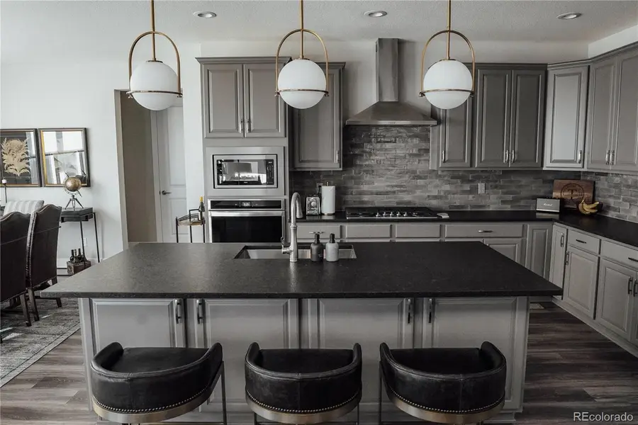 146 Kitselman Drive, Castle Rock, CO 80104 - #3