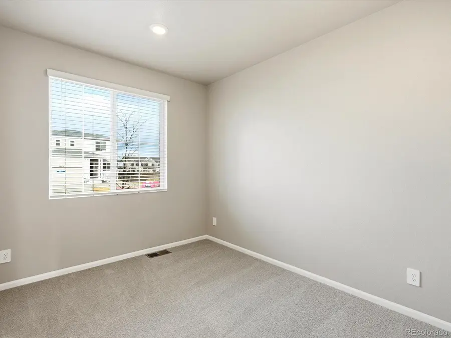 1218 Spring Creek Drive, Windsor, CO 80550 - #3