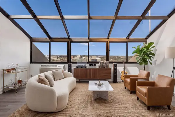 1313 N Williams Street #1601, Denver, CO 80218