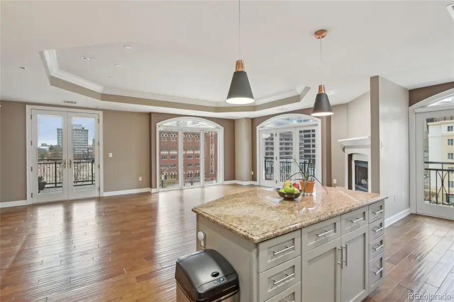 1827 N Grant Street #502, Denver, CO 80203 - Image #2