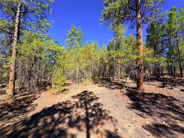 323 Aspen Drive, Leadville, CO 80461