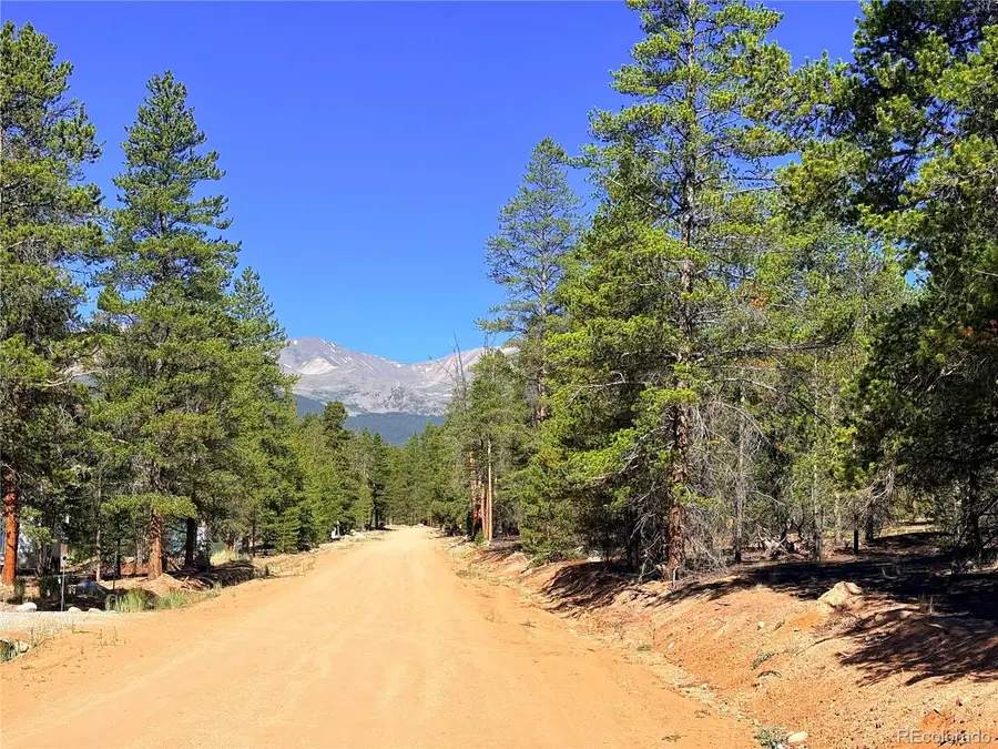323 Aspen Drive, Leadville, CO 80461 - #2