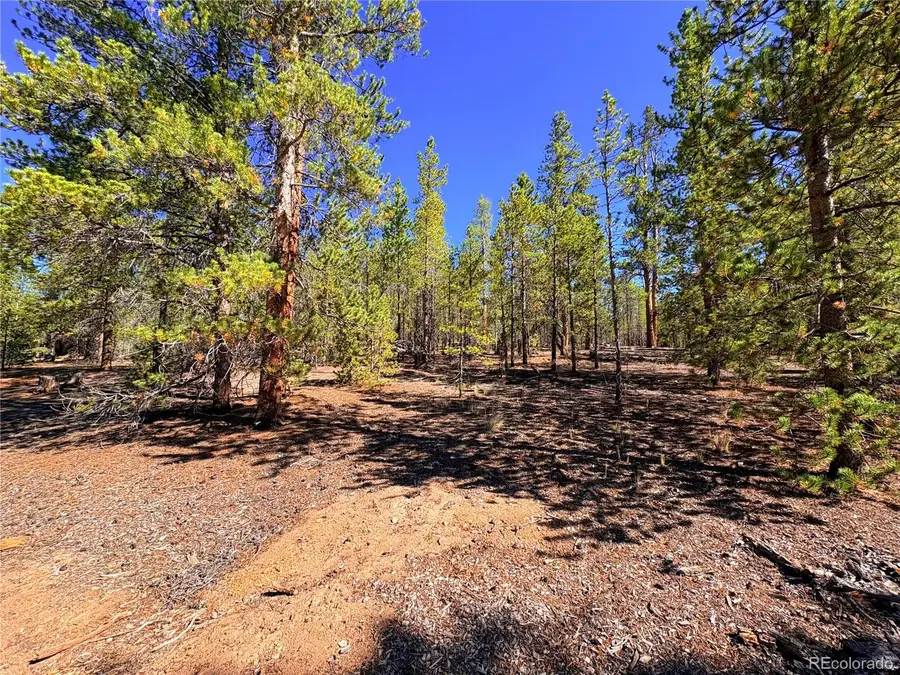323 Aspen Drive, Leadville, CO 80461 - #3