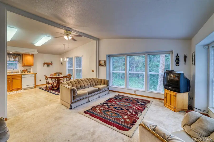 10 Stuart Vista Court, Idaho Springs, CO 80452 - #3