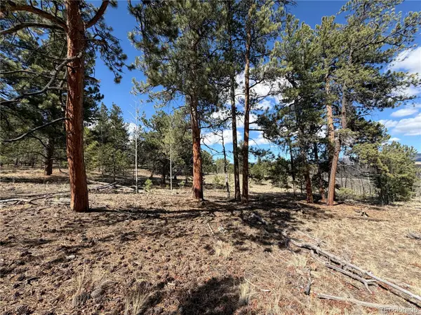 239 Shenandoah Path, Hartsel, CO 80449