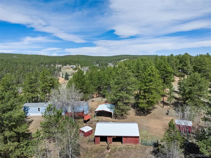 1360 Kiowa Road, Florissant, CO 80816 - Image #3
