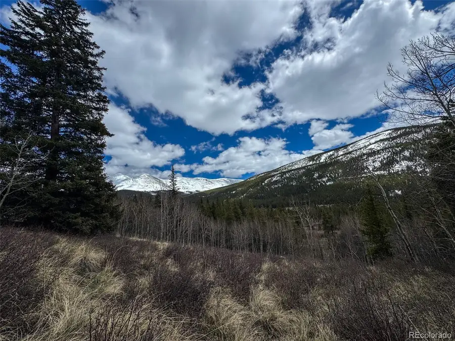 Buckeye Gulch Road, Leadville, CO 80461 - #3
