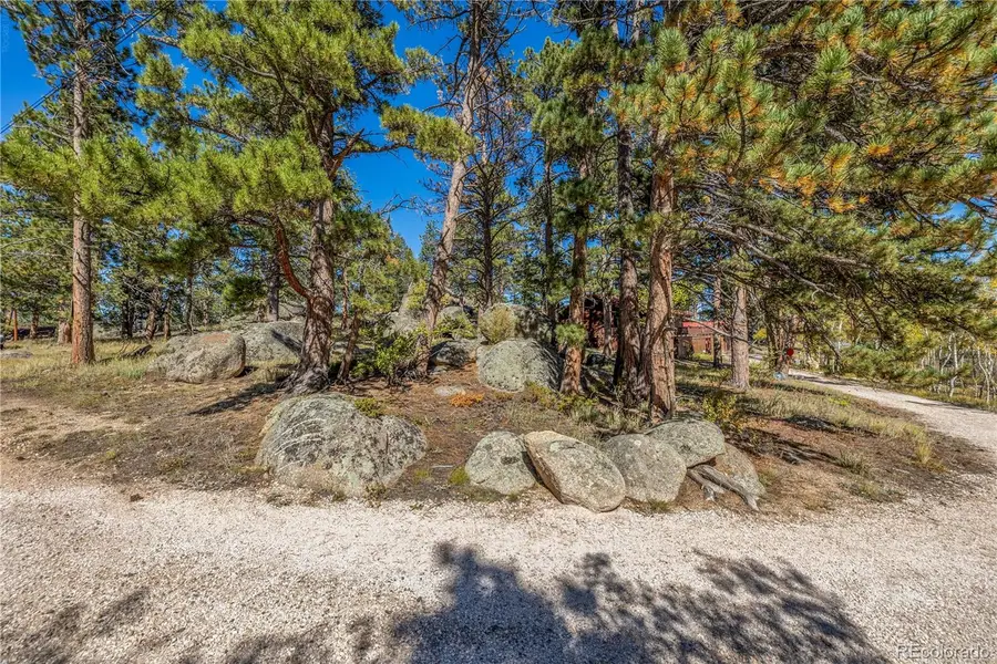 Lot 5a & 5b, Red Feather Lakes, CO 80545 - #2