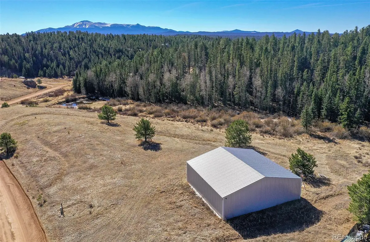 169 Saddleback Creek Drive, Florissant, CO 80816 - #1