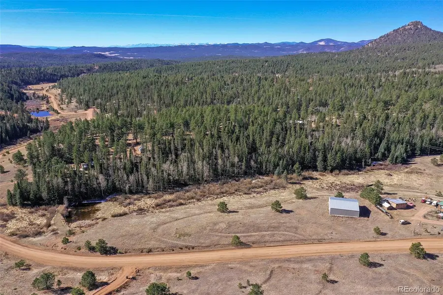 169 Saddleback Creek Drive, Florissant, CO 80816 - #2