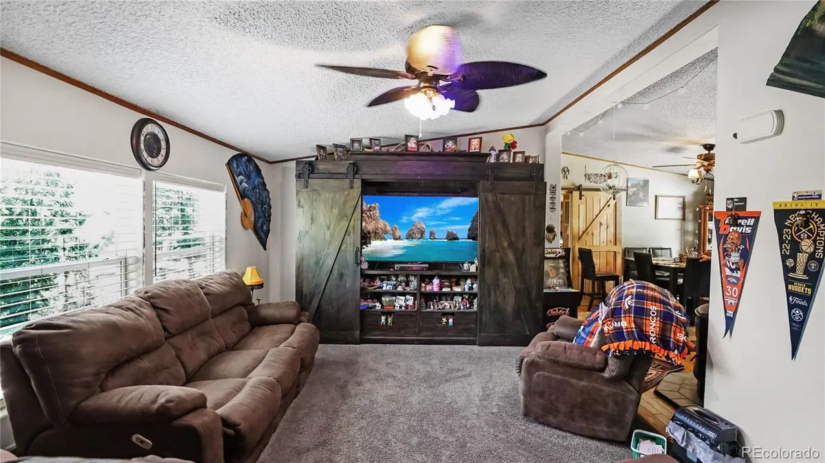 76 S Pine Drive, Bailey, CO 80421 - #1