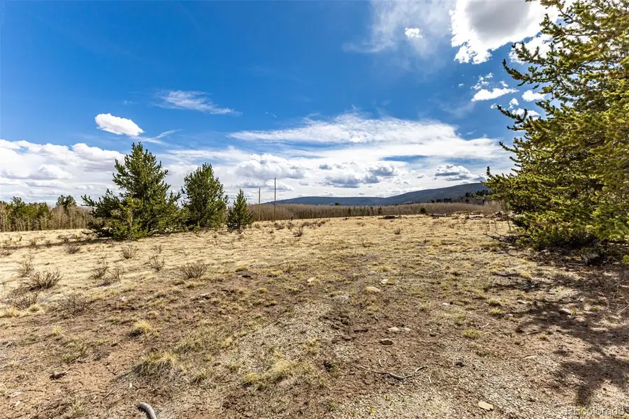 901 Bluestem Way, Fairplay, CO 80440 - #3