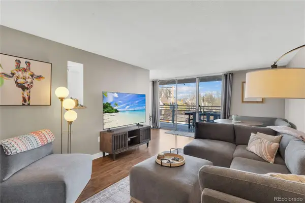 909 N Lafayette Street #304, Denver, CO 80218