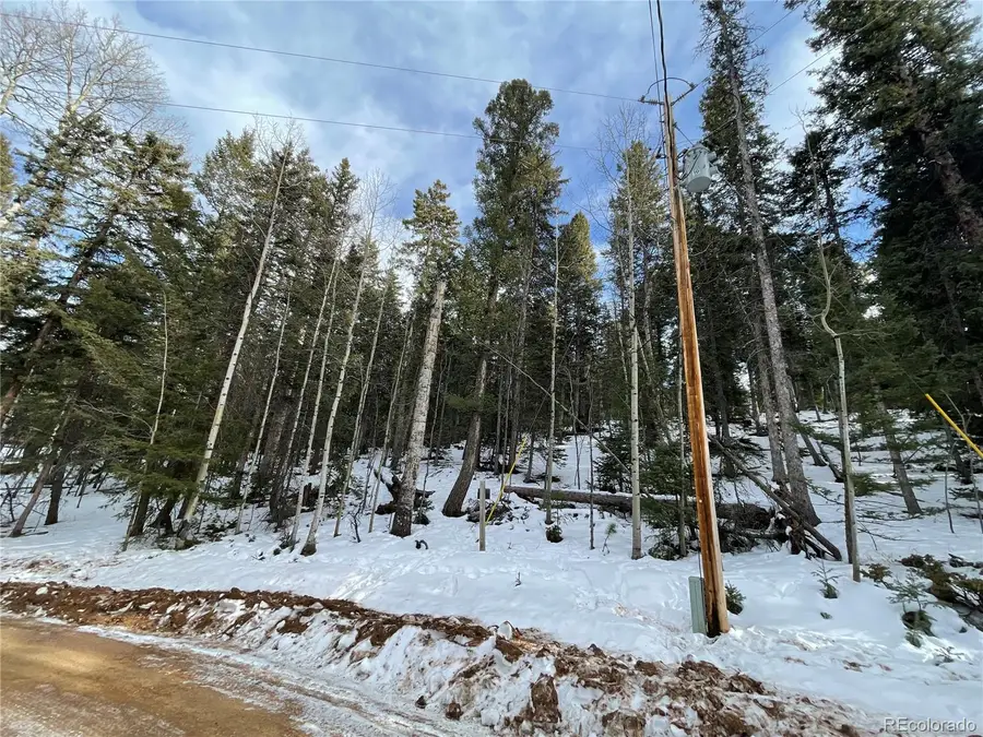 222 Banner Trail, Florissant, CO 80816 - #3
