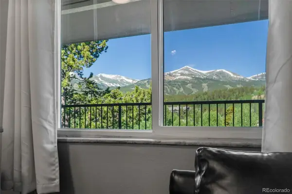 301 N French Street #305, Breckenridge, CO 80424