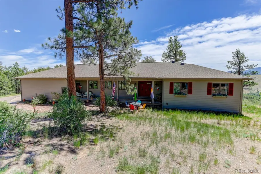 30236 Zurich Drive, Pine, CO 80470 - #3