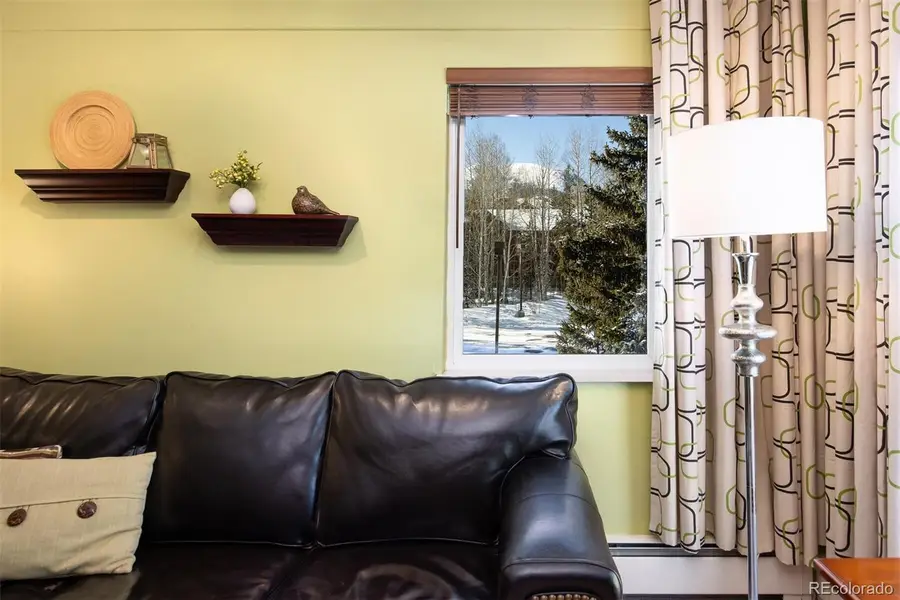 101 Ryan Gulch Court #A103, Silverthorne, CO 80498 - Image #2