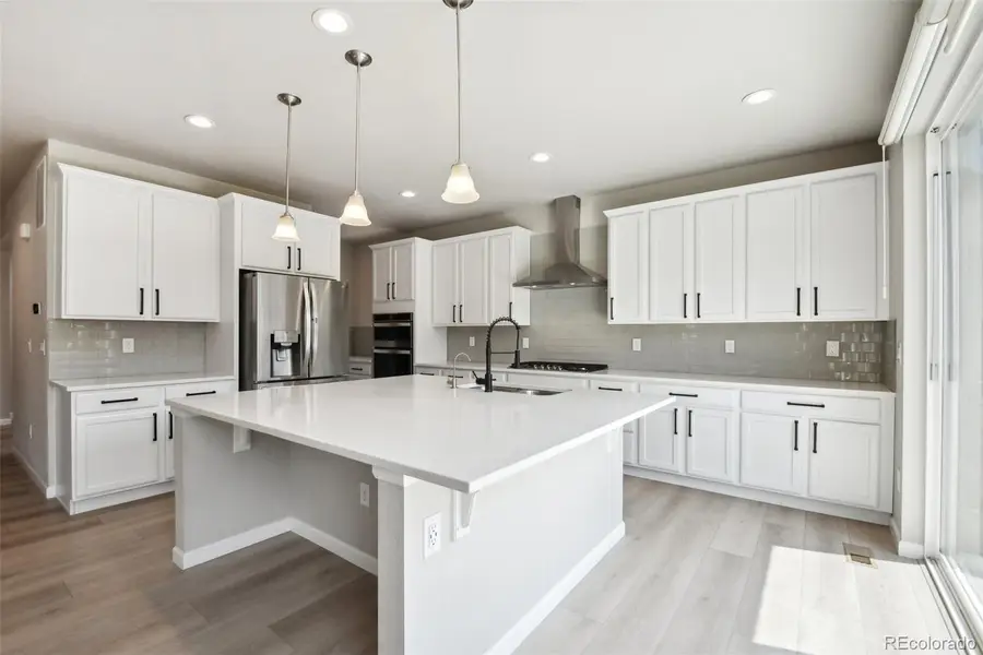 248 Hampshire Lane, Castle Rock, CO 80108 - #3