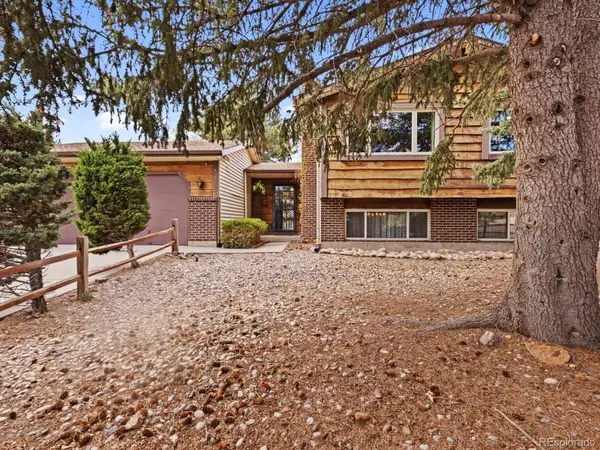 1110 Branding Iron Drive, Colorado Springs, CO 80915