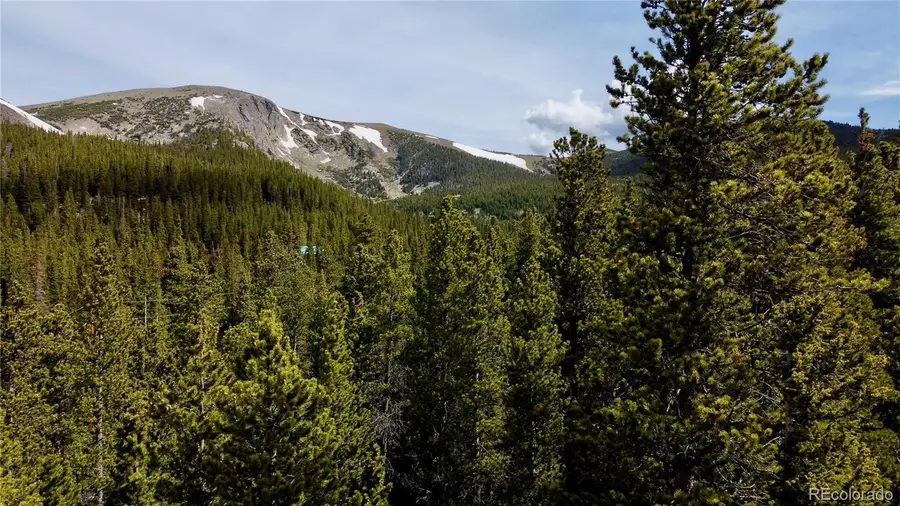 000 Brook Drive, Idaho Springs, CO 80452 - #2