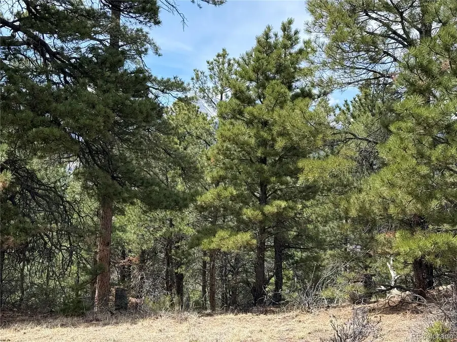 Lot 152 Tahmoush Lane, Fort Garland, CO 81133 - #2