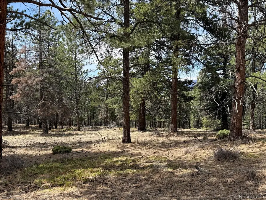 Lot 152 Tahmoush Lane, Fort Garland, CO 81133 - #3