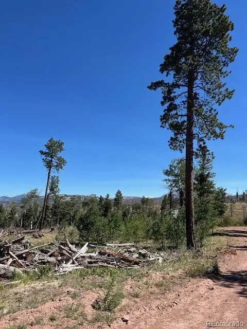 960-961 Huntington Lane, Fort Garland, CO 81133