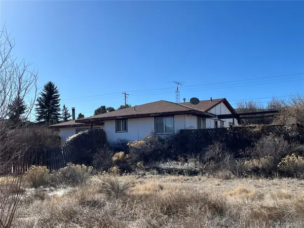 24195 Us Highway 285, Buena Vista, CO 81211