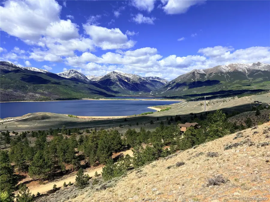 10007 Ross Drive, Twin Lakes, CO 81251 - #3