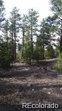 13 Tract 2 Costilla Place, Alamosa, CO 81101