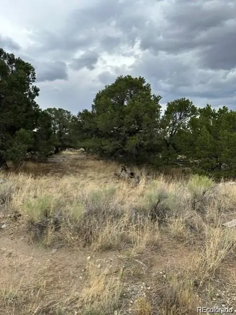 110 Indian Hill Road, Mosca, CO 81146 - Image #2