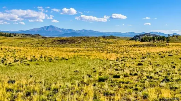 123 Shawnee Trail, Hartsel, CO 80449