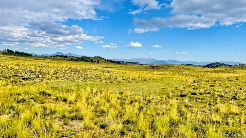 123 Shawnee Trail, Hartsel, CO 80449 - #2