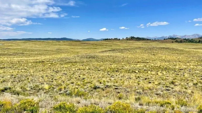 123 Shawnee Trail, Hartsel, CO 80449 - #3