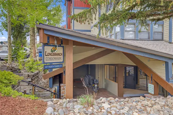 107 Harris Street #209, Breckenridge, CO 80424
