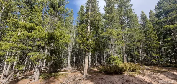 Lot 3246 Zipf Lane, Fort Garland, CO 81133