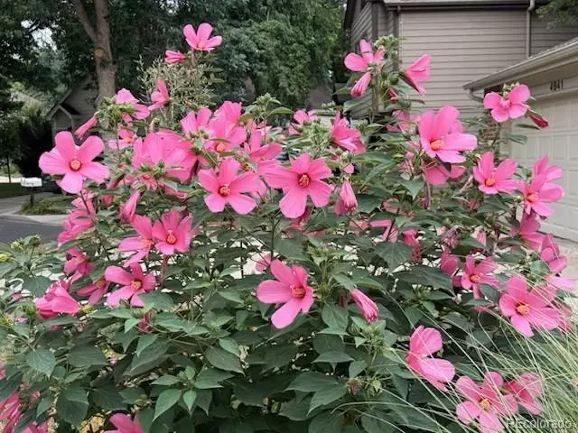 4945 Tesla Circle, Boulder, CO 80301 - #2